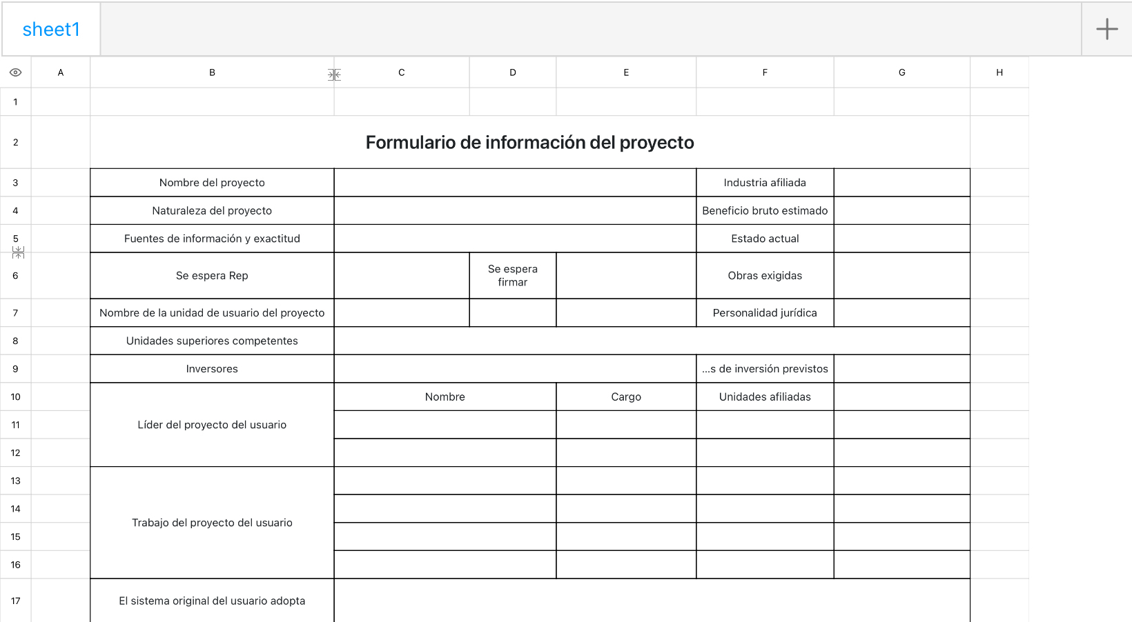 Formulario de información del proyecto